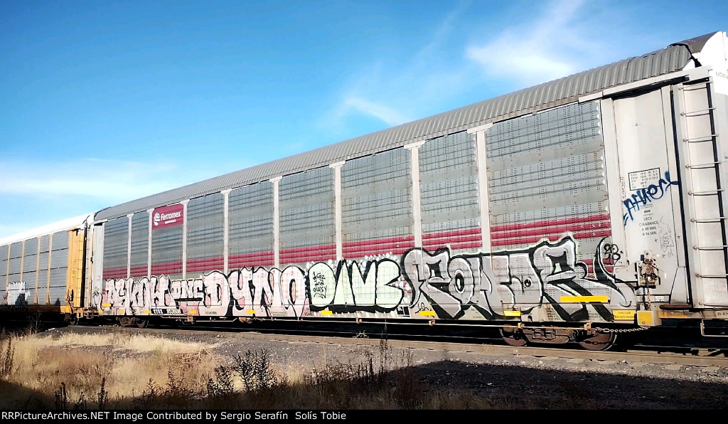 TTGX 953608 FXE 210757